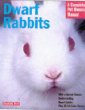 Dwarf Rabbits: A Complete Pet Owner's Manual