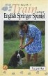 How to Train Your English Springer Spaniel