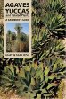 Agaves, Yuccas, and Related Plants: A Gardeners Guide