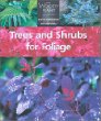 Trees and Shrubs for Foliage (Woody Plant)