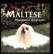 The Maltese : Diminutive Aristocrat