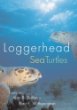 Loggerhead Sea Turtles