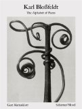 Karl Blossfeldt: The Alphabet of Plants