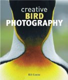 Creative Bird Photography