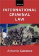 International Criminal Law