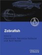 Zebrafish: A Practical Approach (The Practical Approach Series, 261)