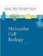 Molecular Cell Biology