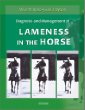 Diagnosis and Management of Lameness in the Horse