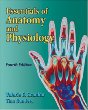 Essentials of Anatomy and Physiology