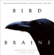 Bird Brains: The Intelligence of Crows, Ravens, Magpies, and Jays