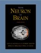 From Neuron to Brain