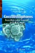 Coccolithophores: From Molecular Processes To Global Impact