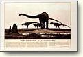 Posters - Dinosaurs