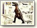 Posters - Dinosaurs
