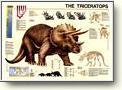 Posters - Dinosaurs
