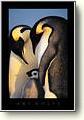 Posters - Antarctica