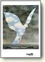 Posters - Birds