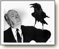 Posters - Birds
