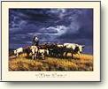 Posters - Horses