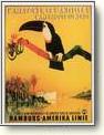 Posters - Birds