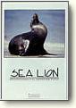 Posters - Antarctica