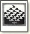 Posters - Birds