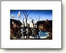 Posters - Salvador Dali