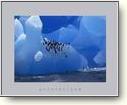 Posters - Antarctica