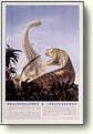 Posters - Dinosaurs
