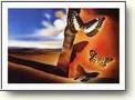 Salvador Dali Posters