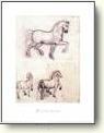 Leonardo Da Vinci Posters