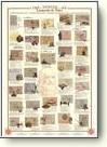 Leonardo Da Vinci Posters