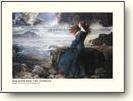 Fine Art Posters