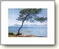 Claude Monet Posters