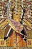 Australian Art Prints and Posters