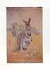 Australian Art Prints and Posters