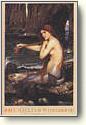 Fine Art Posters