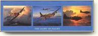 Aviation Posters