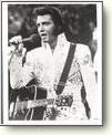 Elvis Posters