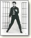 Elvis Posters
