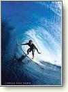 Surfing Posters
