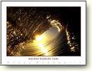 Surfing Posters
