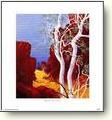 Australian Travel Posters
