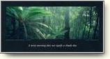 Australian Travel Posters