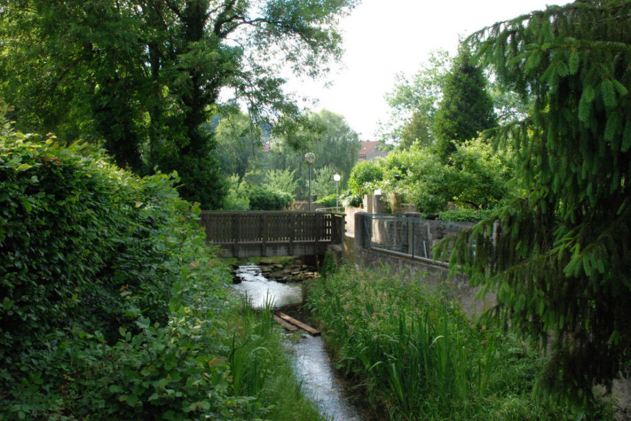 Stream_facing_south.jpg