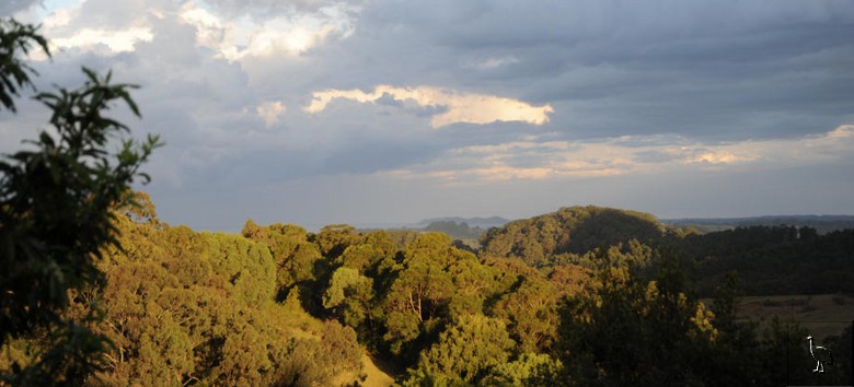 Chincogan_Property_D7C_0182.jpg