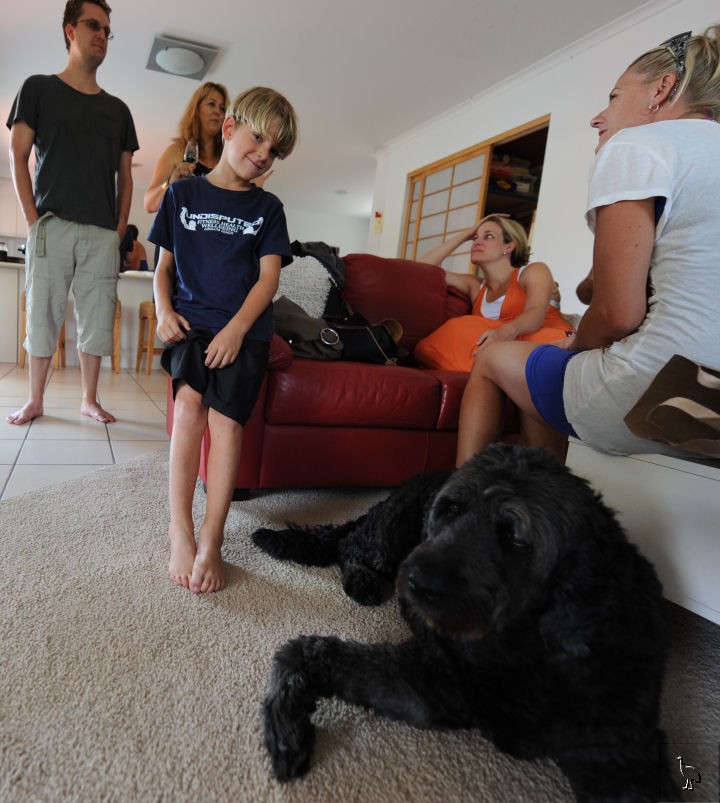 DSC_1027_dog.jpg