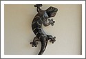 DSC_1041_Gecko.jpg