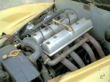 Healey_Elliott_1947_5.jpg