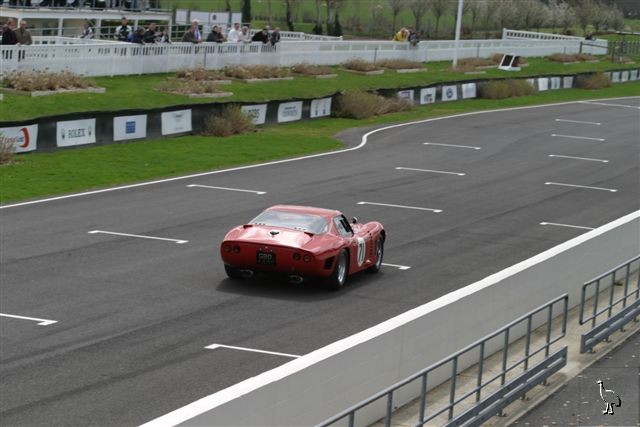 Iso_Griffo_1965_5.jpg